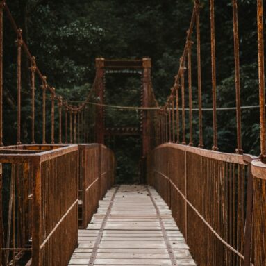 Stories from the Journey: Lessons Learned